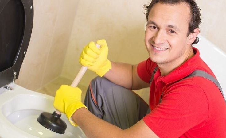 discover techniques for unclogging a toilet