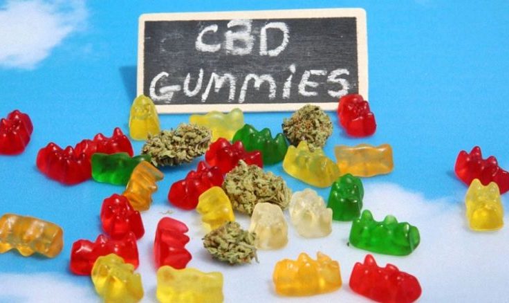 The Key to the Successfulness of Fantastic D9 Gummies